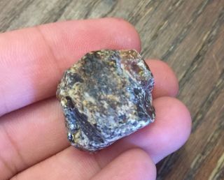 Rare Exotic Gemstone Rock Stone Mineral Specimen 130 Rough Amber 3