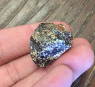 Rare Exotic Gemstone Rock Stone Mineral Specimen 130 Rough Amber 4