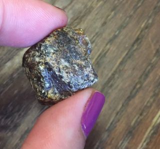 Rare Exotic Gemstone Rock Stone Mineral Specimen 130 Rough Amber 5