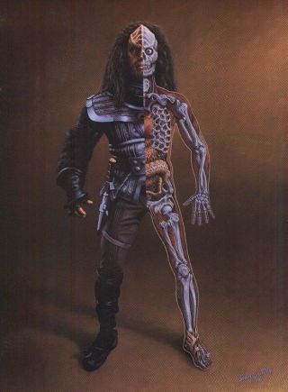 Star Trek Klingon Anatomy 27x36 Vintage Poster Tv Tng Dan Curry Art Skeleton