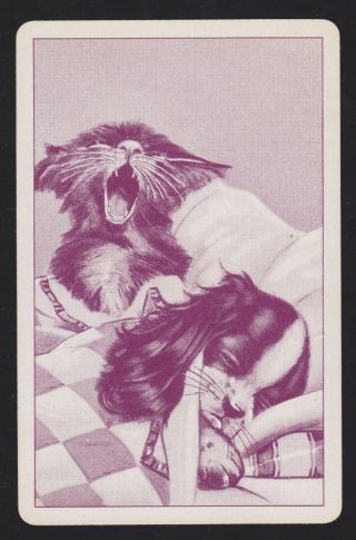 1 Single Vintage Swap/playing Card Cat,  Dog In Bed Id Kittens Puppies Dc - 7 - 10 - A