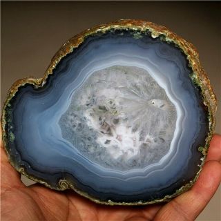 One Half Brazil Natural Agate Geode Quartz Crystal Cornucopia