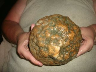 88 One Large Natural Kentucky Geode Whole 6 Lb 10 Oz