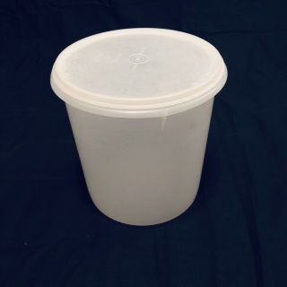 Vintage Tupperware Canister 254 With Tupper - Seal 229 Lid