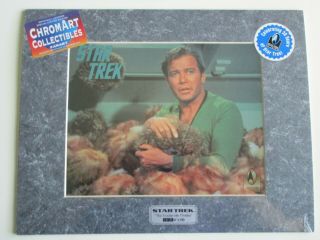 Star Trek Chromart Collectible Photo Trouble With Tribbles