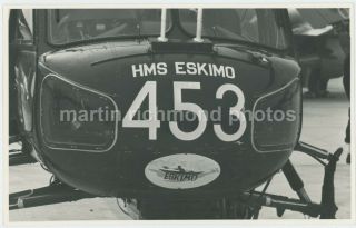 Royal Navy Westland Wasp Helicopter Xv631 Hms Eskimo Photo,  Hb834