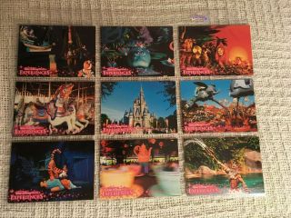 Walt Disney World Experiences Theme Park Trading Cards 81 Cards In Sleeves
