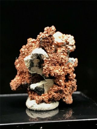 12g Precious NATIVE COPPER Crystal Mineral Rare Mineral Specimens From Morocco 4