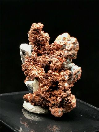 12g Precious NATIVE COPPER Crystal Mineral Rare Mineral Specimens From Morocco 5