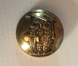 Owl Bird Diploma Graduate Metal Vintage Picture Button Old Pictorial