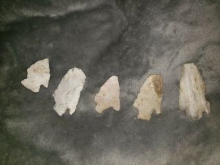 Group Of 5 Missouri Arrowheads/points - My Personal Finds Dallas County