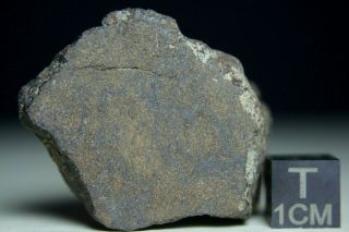 Al Haggounia 001 El3 Fossil Meteorite 33.  1 Grams Enstatite Low Metal Chondrite