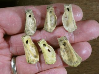 6 Neat Woodland - Mississippian Bone Beads/pendants,  Eastern Tennessee,  X Beutell