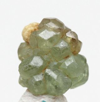 Demantoid Andradite Garnet Green Crystal Cluster Mineral Specimen Czech Rep.