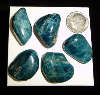 Dino: 5 Blue Apatite Crystal Tumbled Stones,  Madagascar - 37 Gr.
