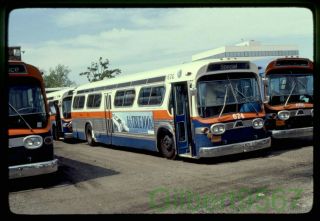 Msba (ny) Bus Slide 674 Taken 1981