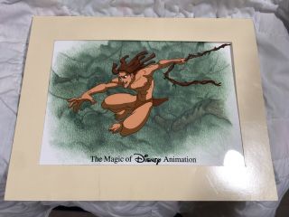 Walt Disney Animation Art Cel Tarzan 1999 Florida Movie Disneyland Cartoon