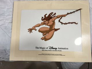 Walt Disney Animation Art Cel Tarzan 1999 Florida Movie Disneyland Cartoon 4