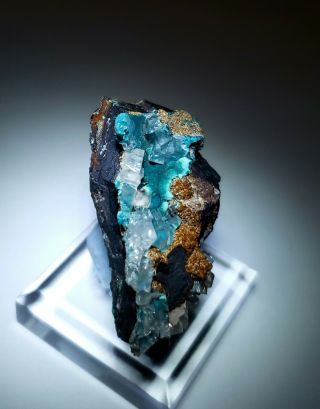 Gorgeous - Teal Blue Rosasite & Calcite Crystals,  Ojuela Mine Mexico