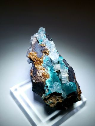 GORGEOUS - Teal Blue Rosasite & Calcite crystals,  Ojuela mine Mexico 2
