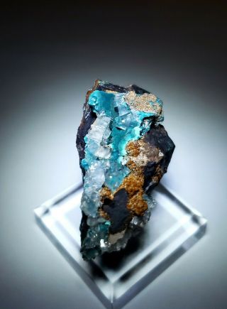 GORGEOUS - Teal Blue Rosasite & Calcite crystals,  Ojuela mine Mexico 4