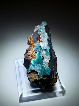 GORGEOUS - Teal Blue Rosasite & Calcite crystals,  Ojuela mine Mexico 5