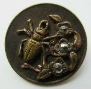 Wonderful Antique Vtg Tinted Metal Picture Button Beetle W/ Cut Steels 1 " (q)