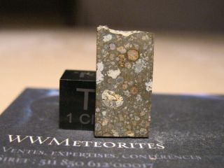Meteorite Nwa 11545 - Carbonaceous Chondrite : Type Cv3