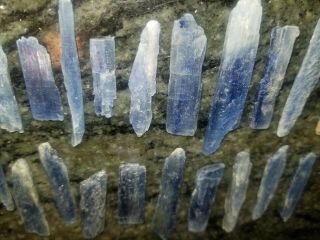 20 Blue Kyanite Natural Rough Raw Exact Blades Crystal Healing Reiki