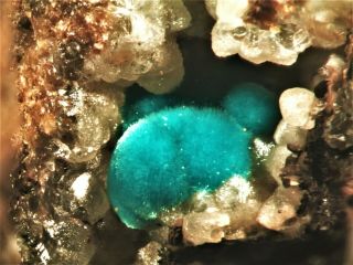 Aurichalcite Rare Mineral Micromount From Greece