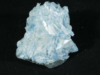 A 100 Natural Light Blue Paraiba Kyanite Crystal Cluster With Quartz 138gr E