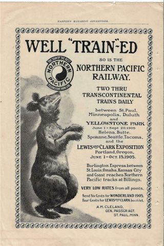 1905 Northern Pacific Railway Lewis & Clark Expo Well Trained Yellowstone Bear