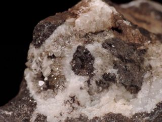 Siderite Crystals In Matrix Rare Mineral Specimen,  Harz,  Germany