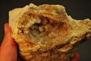 Druzy Quartz W/ Calcite Crystals In Lime Stone Mineral Specimen Montana