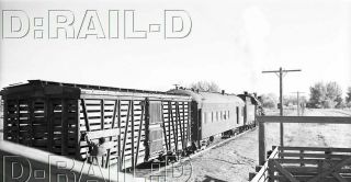 9c082 Rp/negative 1940s Union Pacific Railroad Livestock Car Combo Car