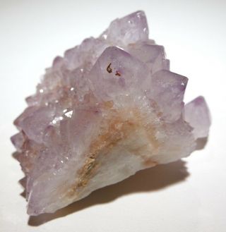 142g Cactus quartz crystals South Africa Amethyst Spirit quartz 5