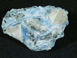 A 100 Natural Light Blue Paraiba Kyanite Crystal Cluster With Quartz 124gr