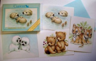 4 Ruth Morehead Greeting Cards By Current Baby Seals Bears Tigers Otters