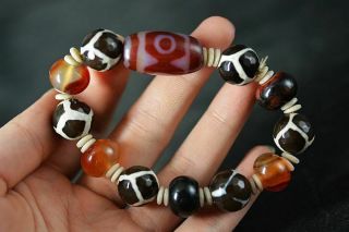 Rare Tibetan Old Agate 3 eyed/Turtle Back Dzi Amulet Bracelet Hand String J10 4