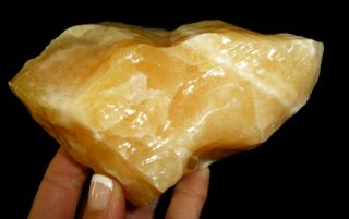 Dino: Lg.  Orange Calcite Crystal Specimen,  Mexico - 1 Lb.  1oz.