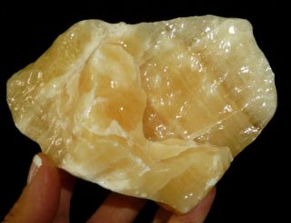 Dino: Lg.  Orange Calcite Crystal Specimen,  Mexico - 1 lb.  1oz. 3