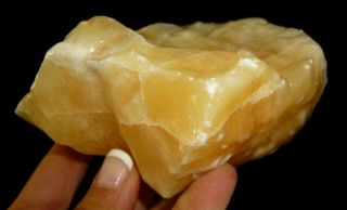 Dino: Lg.  Orange Calcite Crystal Specimen,  Mexico - 1 lb.  1oz. 4