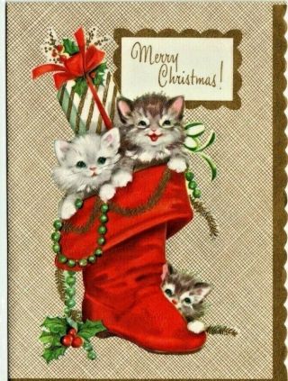 Cute Kitty Cats,  Kitten In Santa Boot,  Gifts,  Vintage Christmas Greeting Card