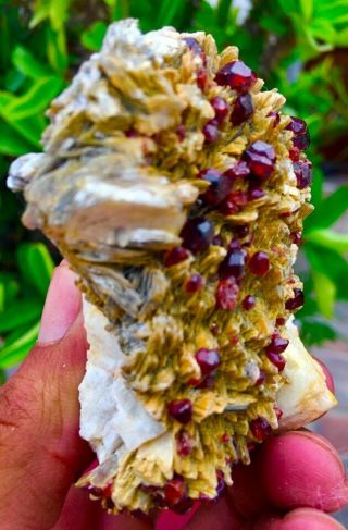 WOW 1100 CARATS BLOOD RED COLOR GARNET CLUSTER WITH QUARTZ MUSCOVITE 5