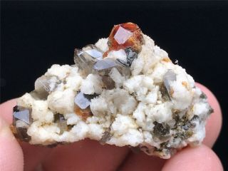 13g Natural Gules Fanta Spessartine Garnets Smoky Quartz Crystal Specimen Fujian