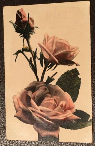 Vintage Rose Photo Postcard – As A Birthday Card In 1918