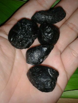 Tektite Meteorite Impact,  from Asia,  Natural Rare TEKTIT55.  52g 2