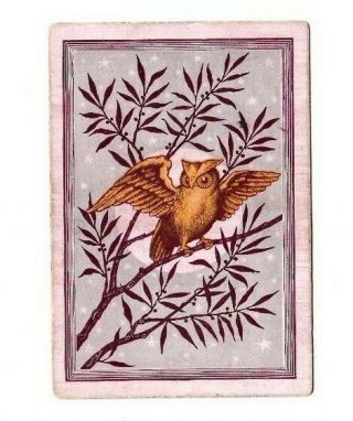 1 WIDE SQUARE CORNER PLAYING SWAP CARD - ANGRY OWL BIRD IN TREE UNDER STARS 2