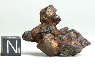 Meteorite Sericho - Sculpted Individual 18.  8g Pallasite Kenya