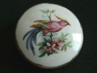 Lg Ceramic Button W Exotic Bird Pink Wedge Shank Gold Rim